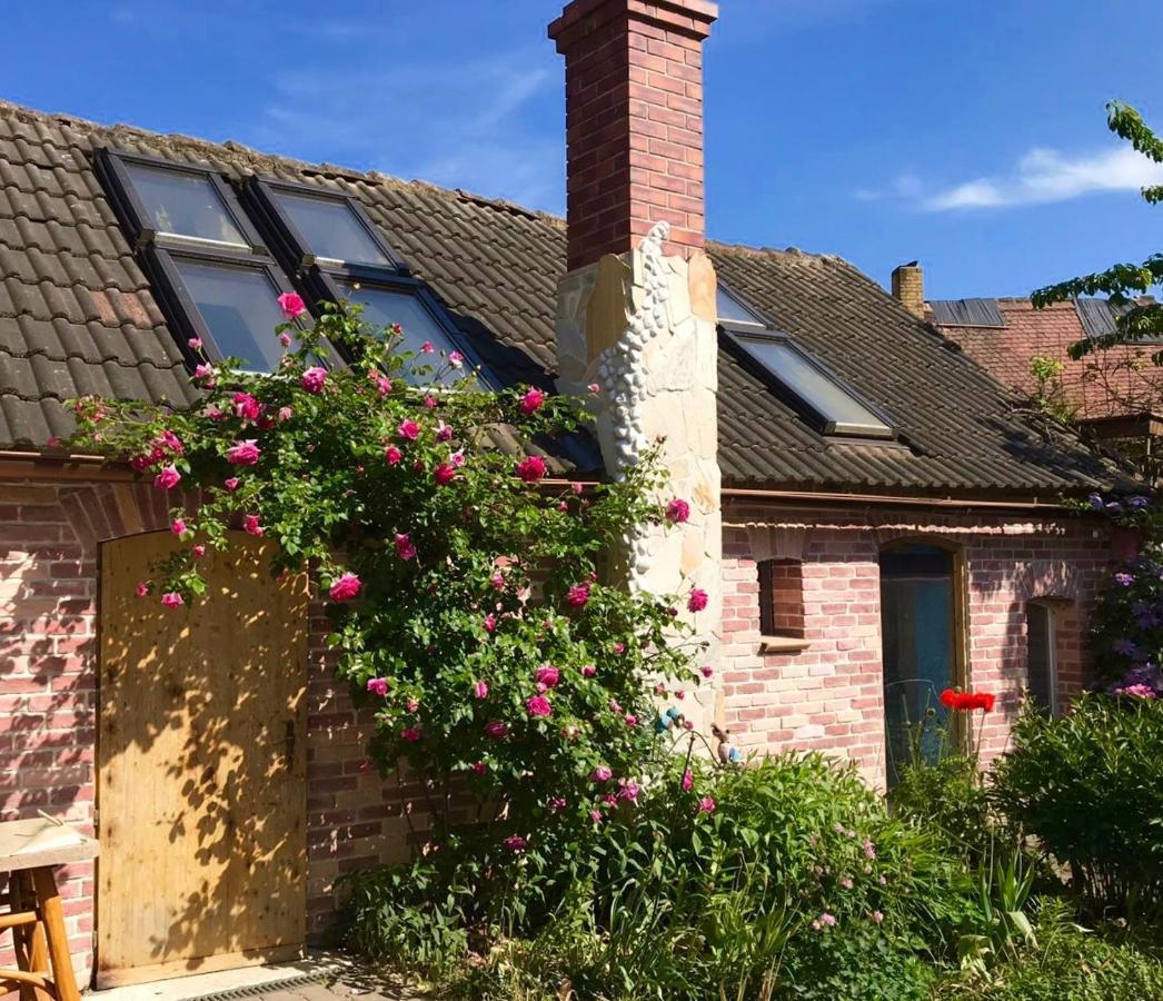 Boutique Hotel Shambala Zeitlos Wiedemar Eksteriør billede